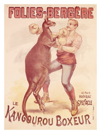 Boxing-kangaroo