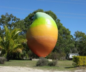 big-mango