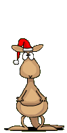 christmas-kangaroo