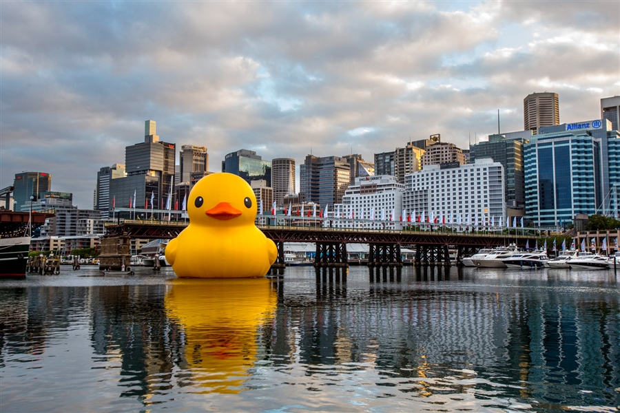 Rubber Duck in Sydney Harbor, Jan. 3, 2013