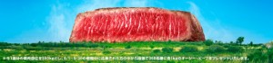 Uluru shaped from beef for the MLA campaign in Japan.