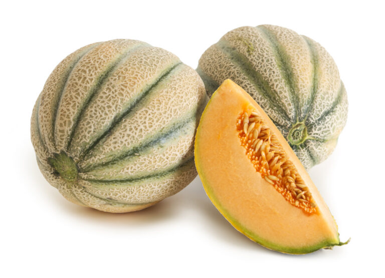 豪キャブラリー：Rockmelons