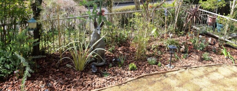 How’d Ya Shape An Aussie Garden In Suburban Tokyo?
